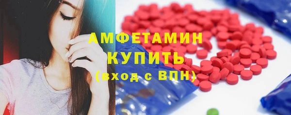 крисы Инсар