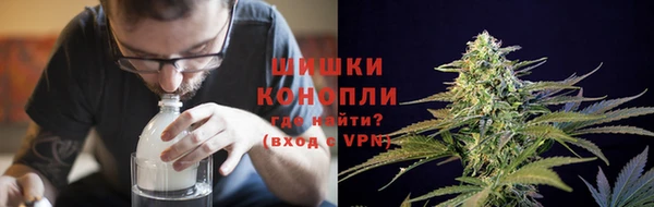 крисы Инсар