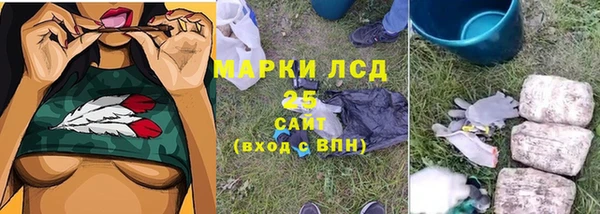 крисы Инсар