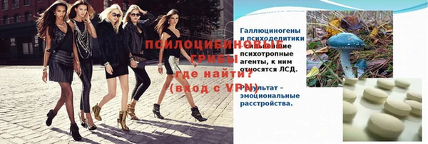 крисы Инсар