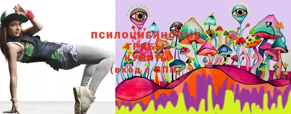 крисы Инсар