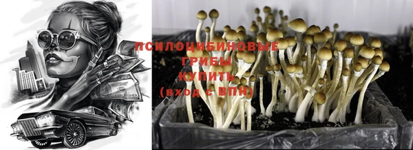 крисы Инсар