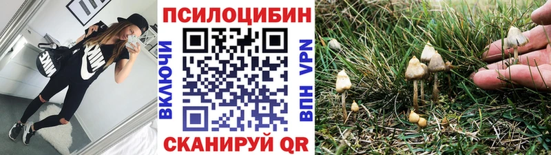 Псилоцибиновые грибы мицелий  Купить  Заозёрный 