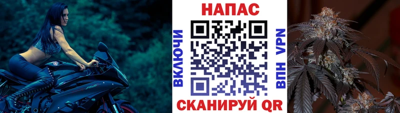 Купить где  Заозёрный  МАРИХУАНА OG Kush 